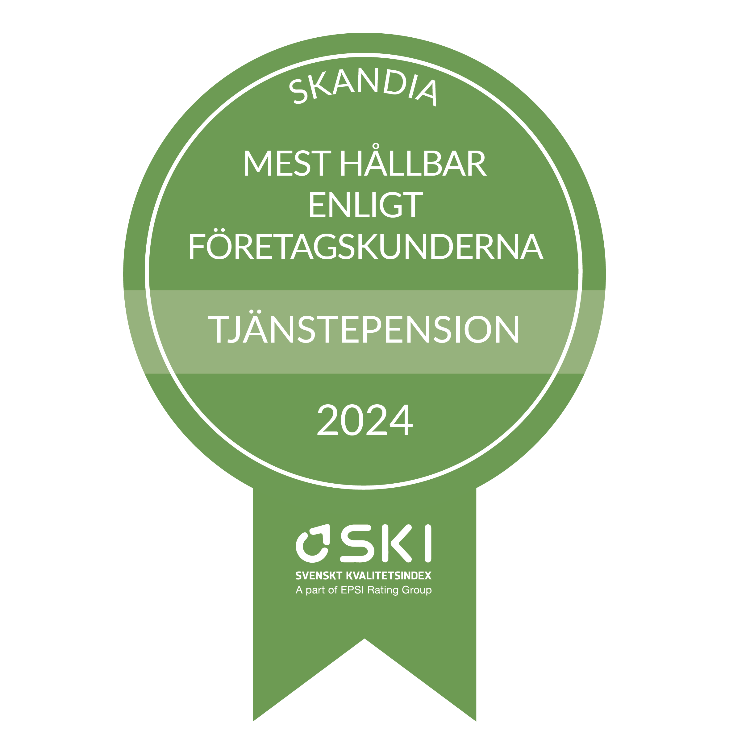 SKI företag 2022.png
