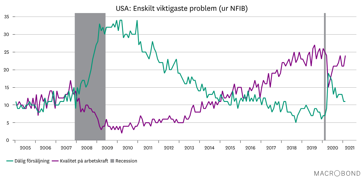 Marknadsbrev mars 2021 - usa enskilt viktigaste problem.png