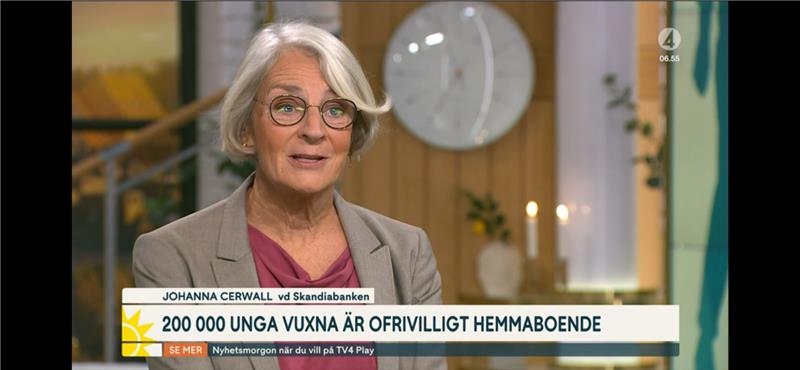 NYhetsmorgon - bosparrapport - Johanna Cerwall