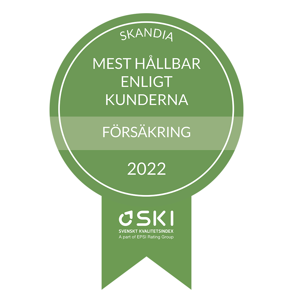 SKI företag 2022.png