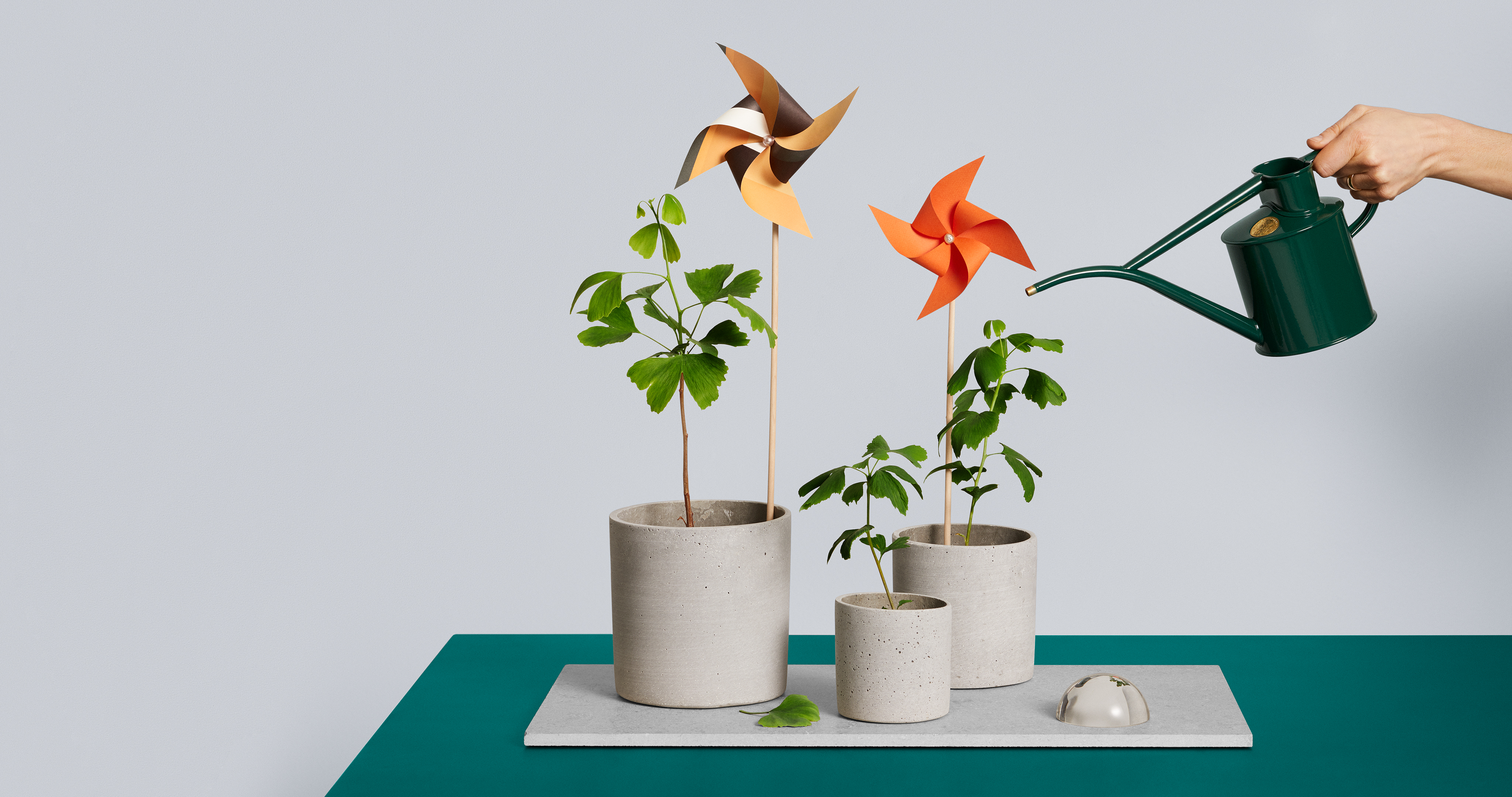 Växter och vattenkanna